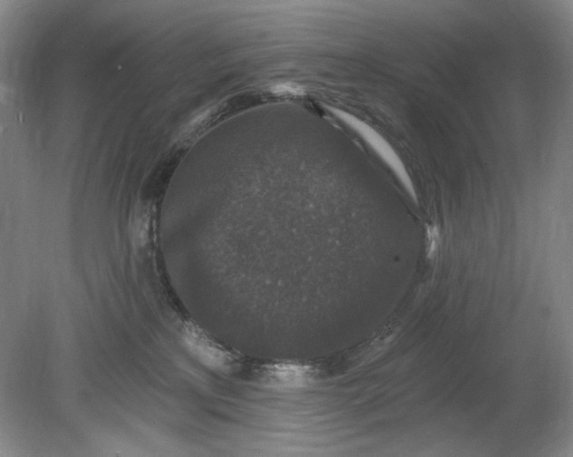 X0000078870233200611271309