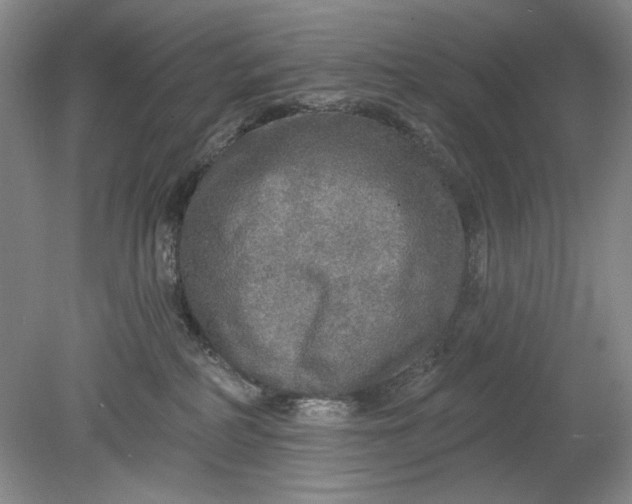 X0000078870234200611271309