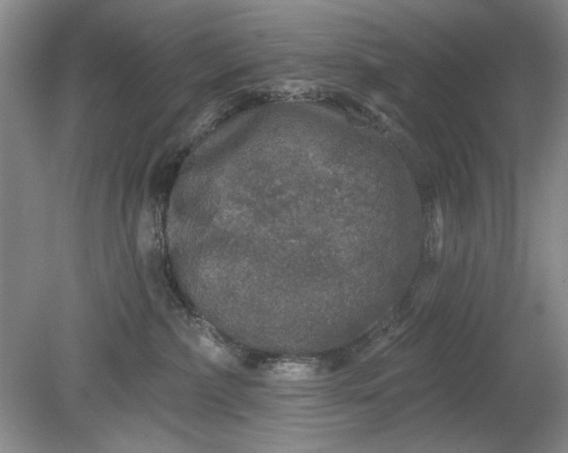 X0000078870236200611271309