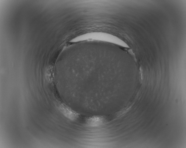 X0000078870237200611271309