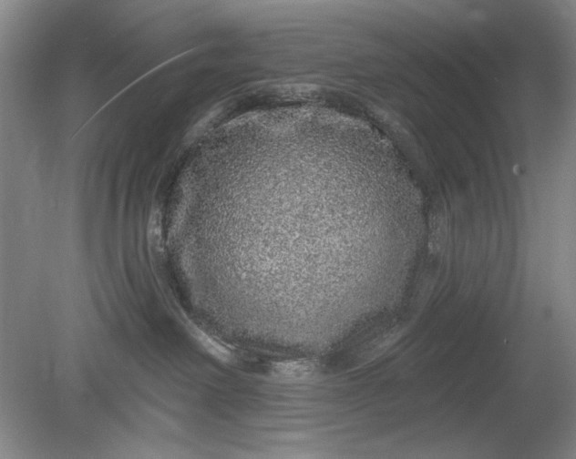 X0000078870238200611271309