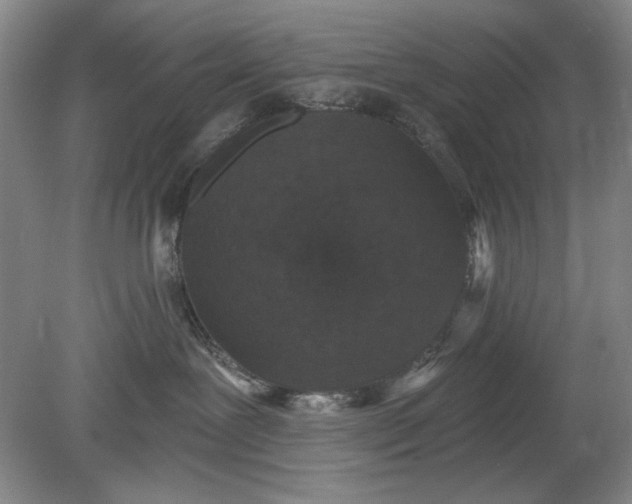 X0000078870239200611271309