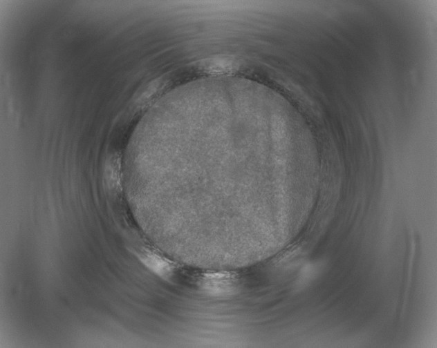 X0000078870240200611271309