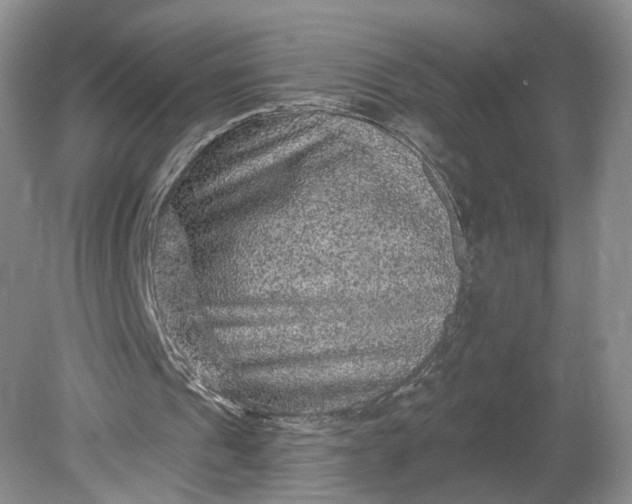 X0000078870241200611271308