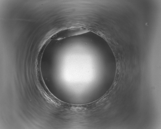 X0000078870242200611271308