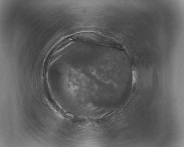 X0000078870243200611271308