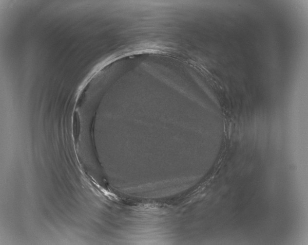 X0000078870244200611271308