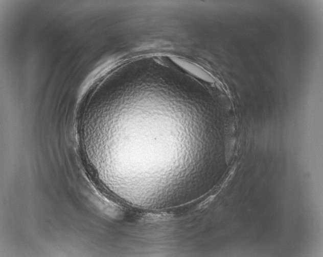 X0000078870245200611271308