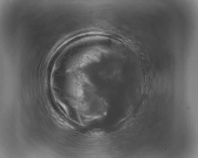 X0000078870247200611271308