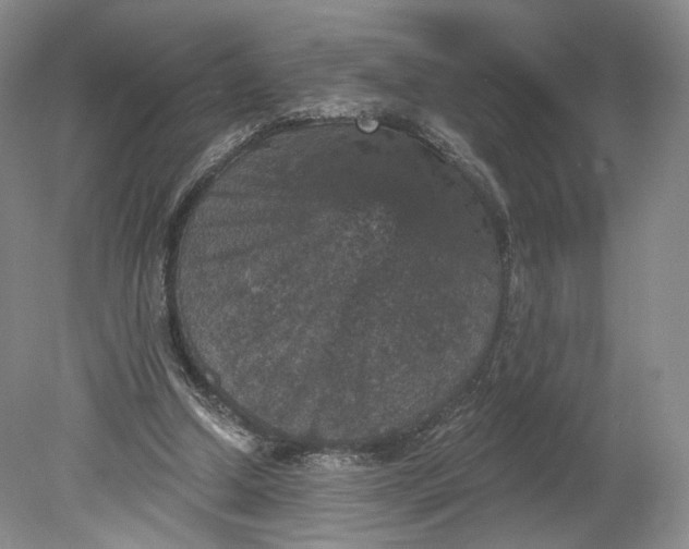 X0000078870250200611271308