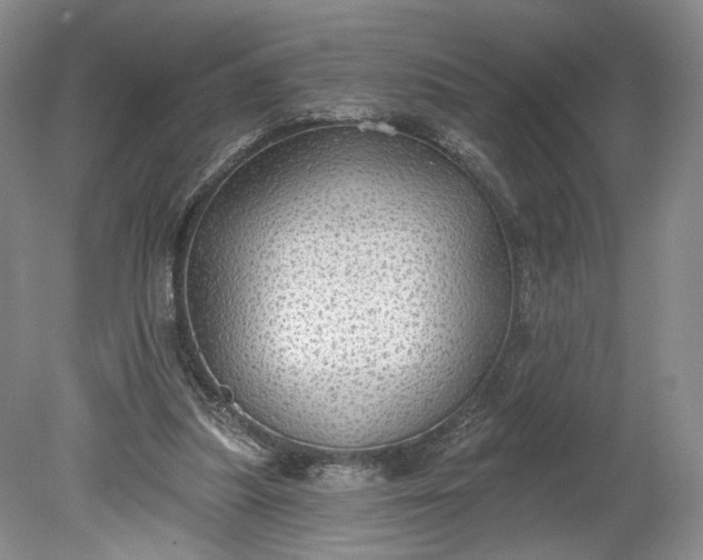 X0000078870251200611271308