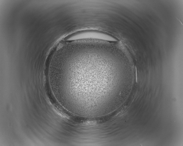 X0000078870252200611271308