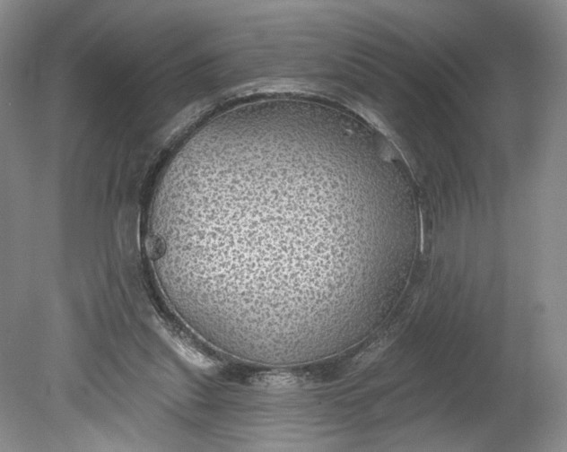 X0000078870253200611271308