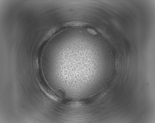 X0000078870254200611271308