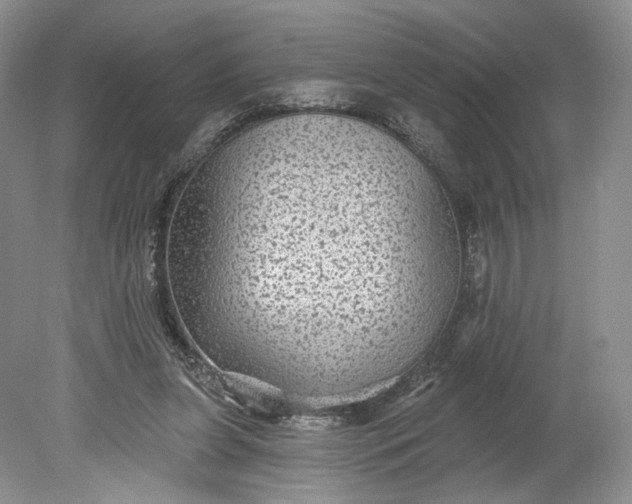 X0000078870255200611271308