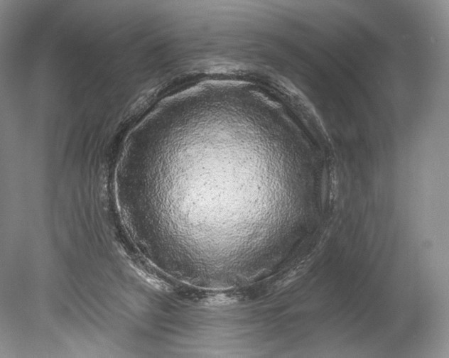 X0000078870257200611271308