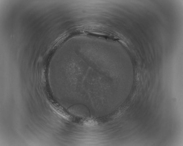 X0000078870258200611271308