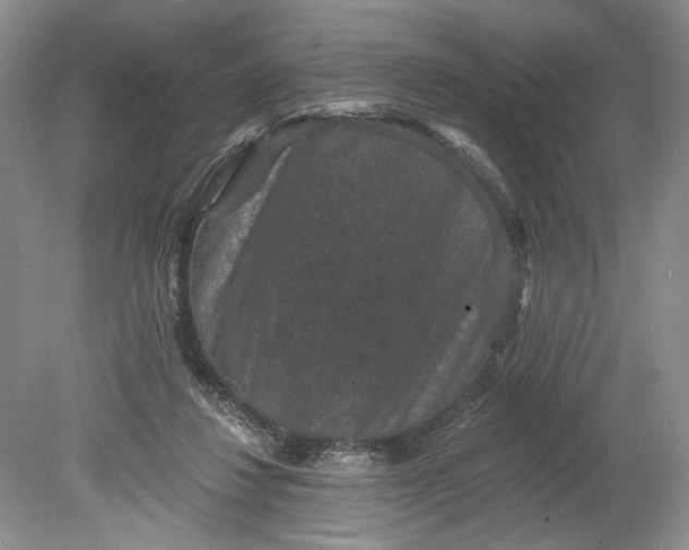 X0000078870260200611271308