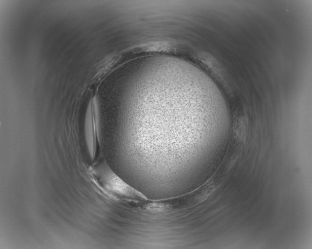 X0000078870261200611271308