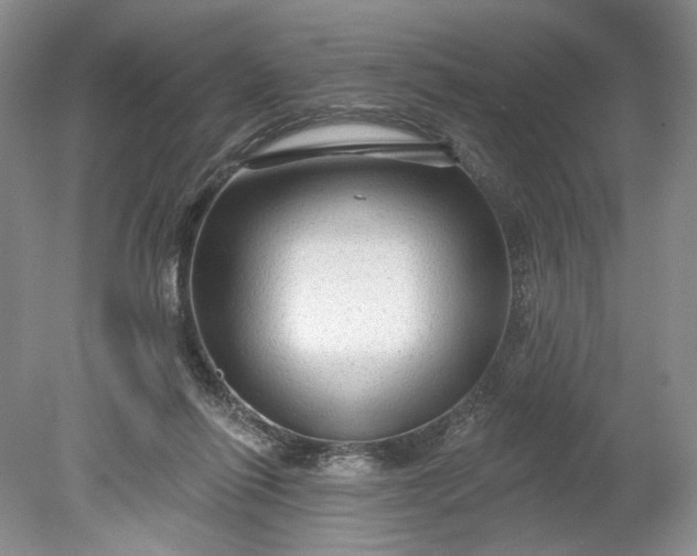 X0000078870262200611271308