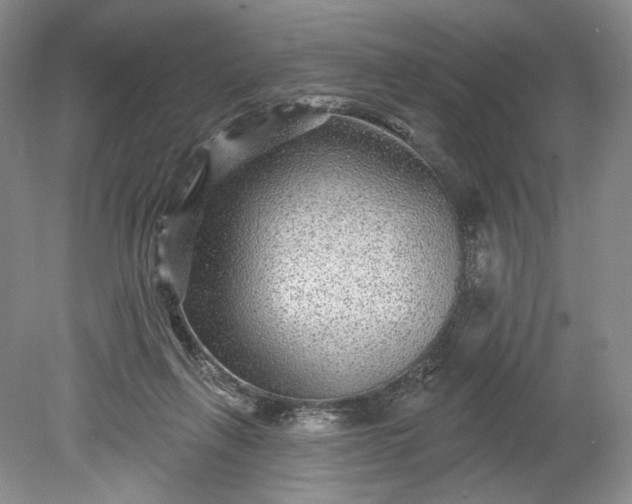 X0000078870263200611271308