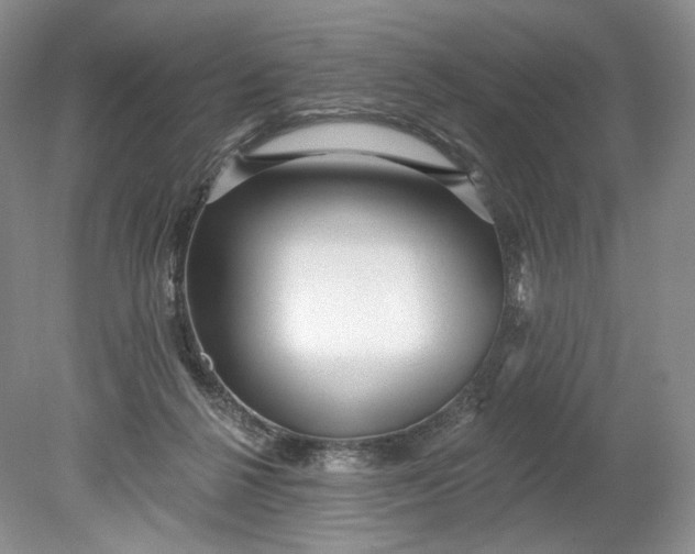 X0000078870264200611271308