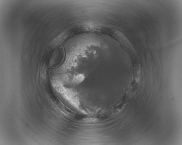 X0000078870266200611271308