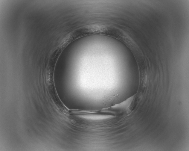 X0000078870268200611271308