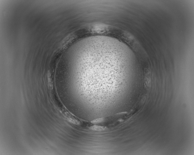 X0000078870270200611271308