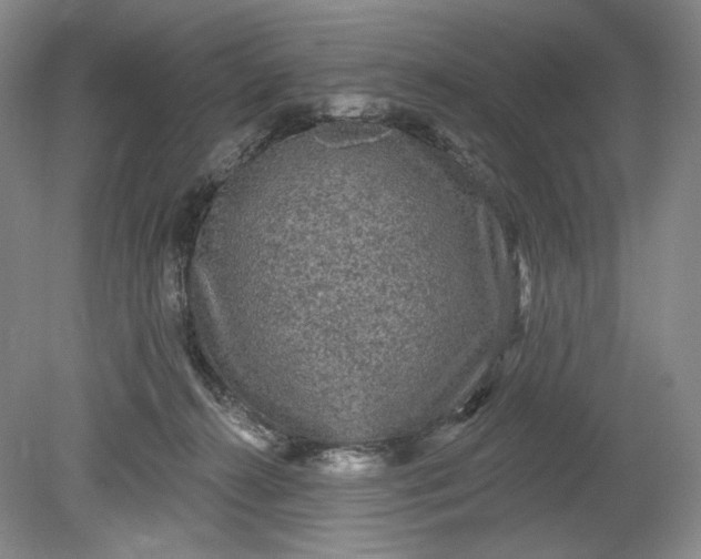 X0000078870272200611271309