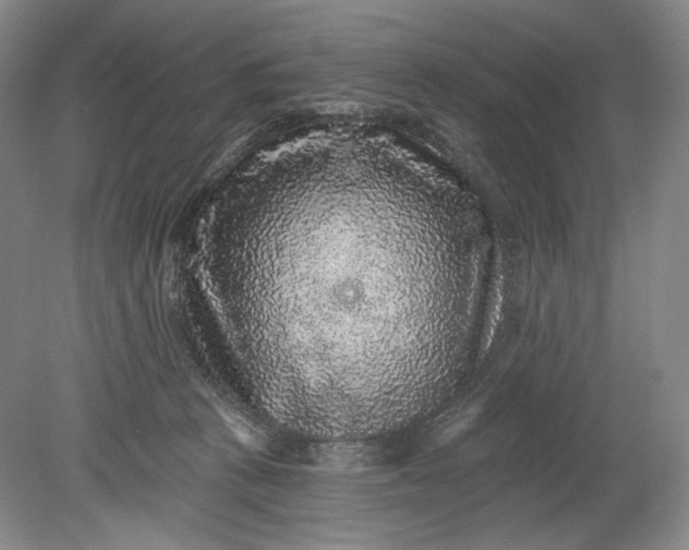 X0000078870273200611271309