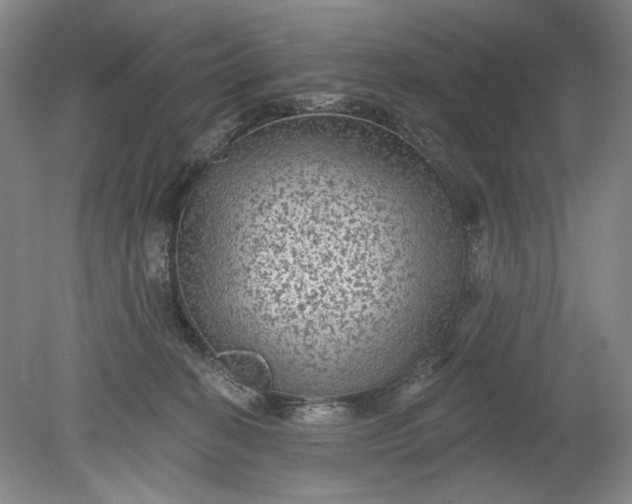 X0000078870274200611271309