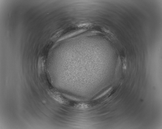 X0000078870276200611271309