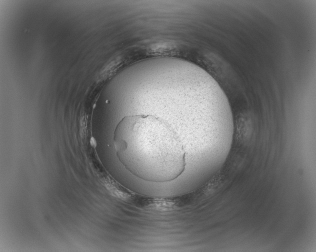 X0000078870278200611271309