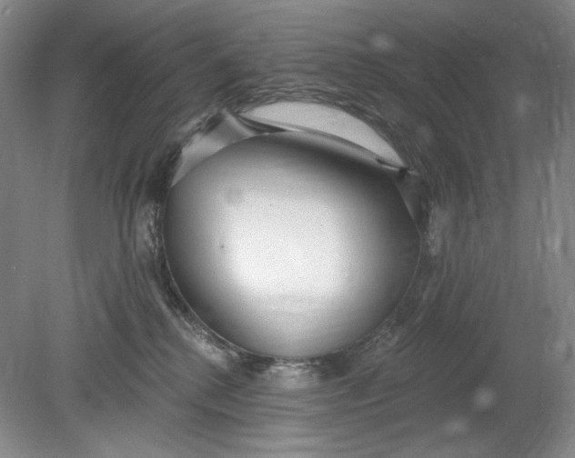 X0000078870280200611271309