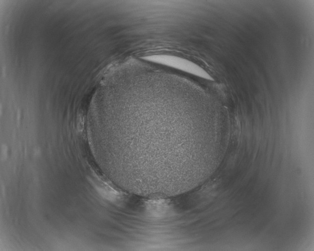 X0000078870281200611271309