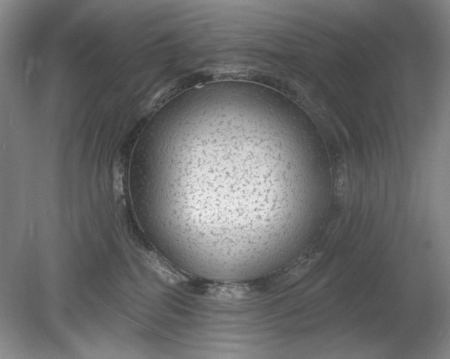 X0000078870282200611271309