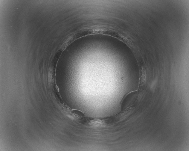 X0000078870283200611271309