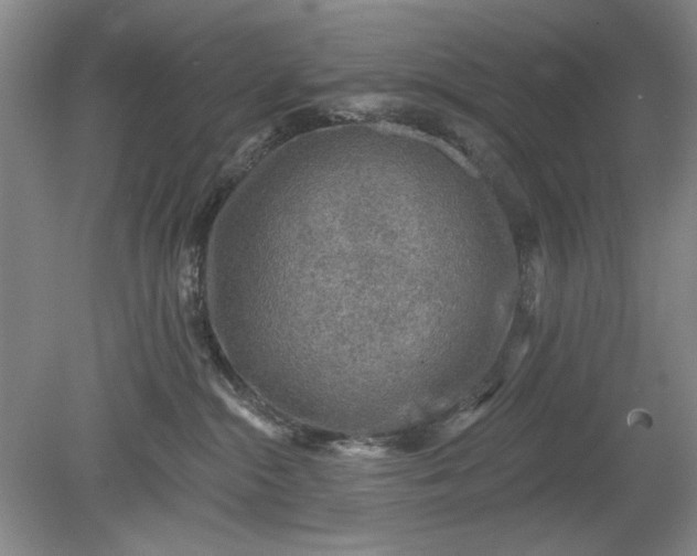 X0000078870284200611271309