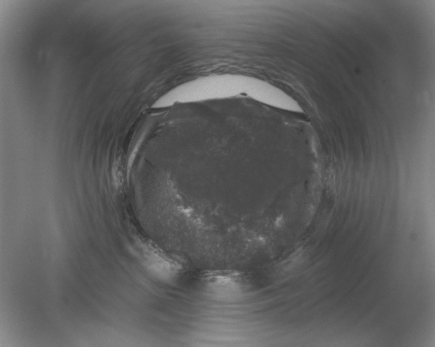 X0000078870285200611271309