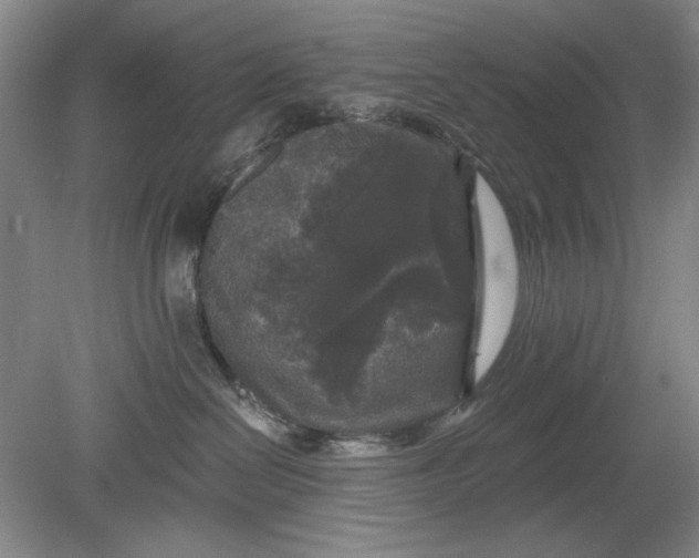 X0000078870286200611271309