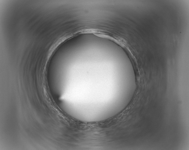 X0000078870289200611271308