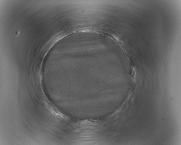 X0000078870290200611271308