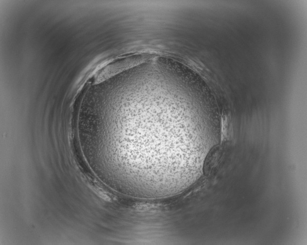 X0000078870291200611271308