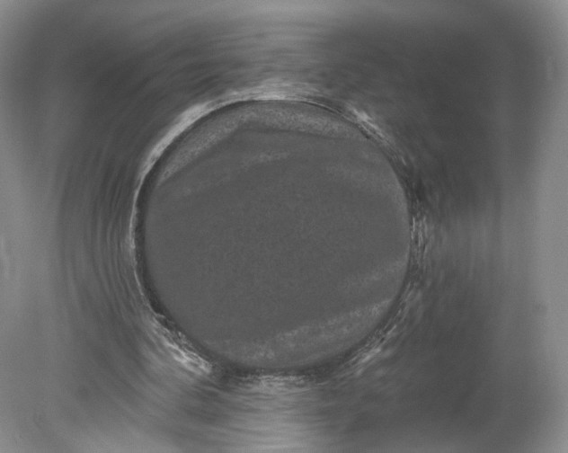 X0000078870292200611271308