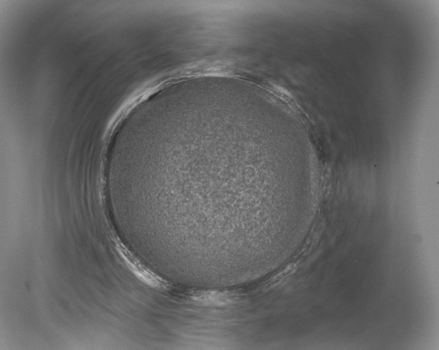 X0000078870293200611271308