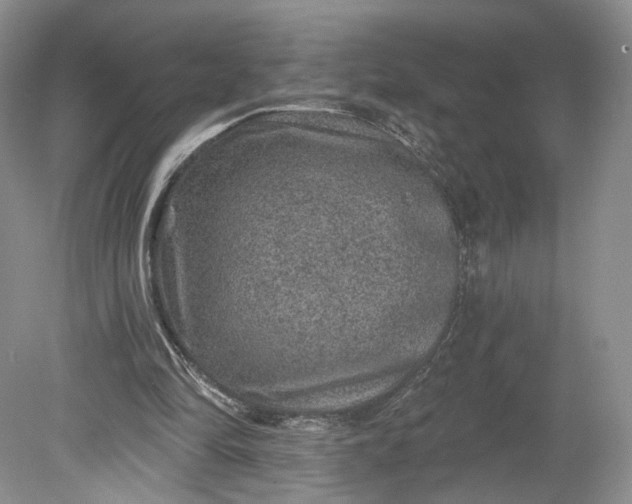 X0000078870294200611271308