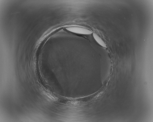 X0000078870295200611271308