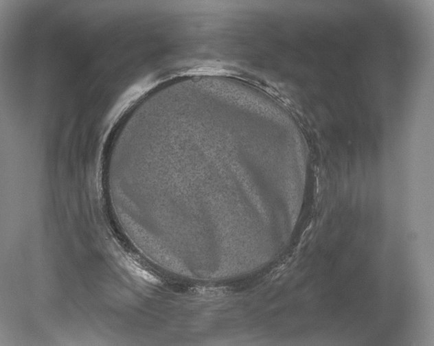 X0000078870296200611271308