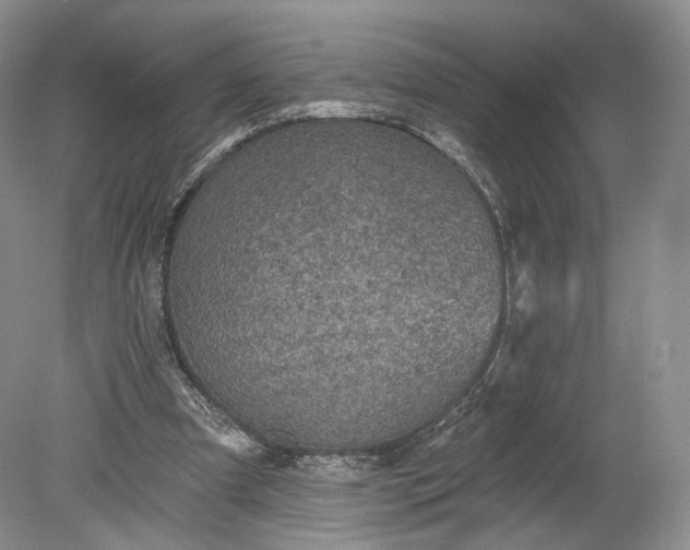 X0000078870297200611271308